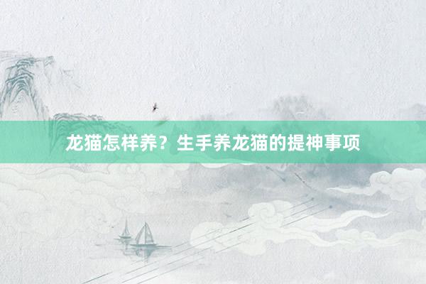 龙猫怎样养？生手养龙猫的提神事项