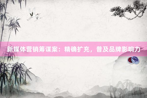新媒体营销筹谋案：精确扩充，普及品牌影响力